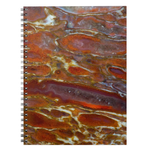 Dinosaur Petrified Bone Notebook (Front)