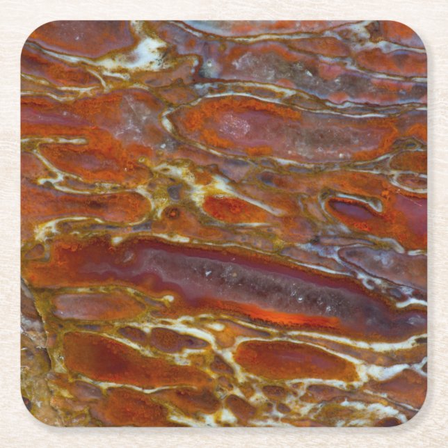 Dinosaur Petrified Bone Square Paper Coaster (Front)