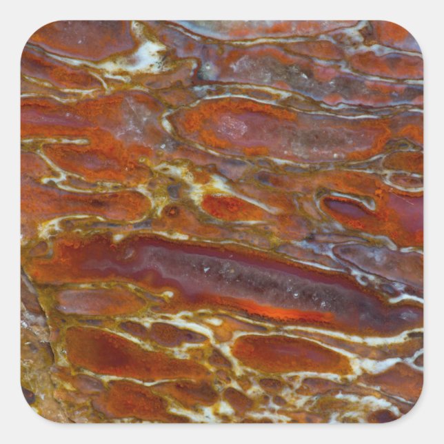 Dinosaur Petrified Bone Square Sticker (Front)