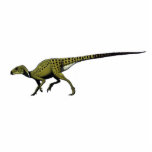 Dinosaur Photo Sculpture Heterodontosaurus<br><div class="desc">Based off Gregory Paul's colour artwork,  this is slightly smaller than the other sculpts. With most people wanting the big dangerous dinos this one should be a rarity.</div>