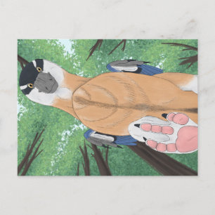 Dinosaur postcard - Dromaeopodus