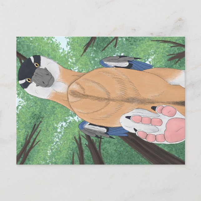 Dinosaur postcard - Dromaeopodus (Front)