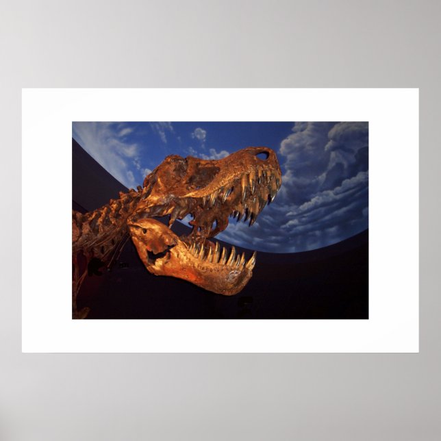 Dinosaur Poster (Front)
