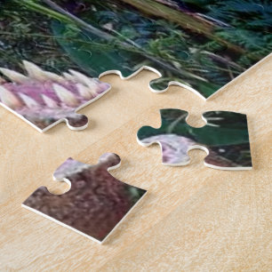 Dinosaur Puzzles for Children