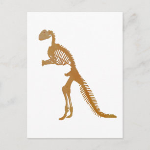 dinosaur skeleton postcard