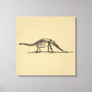 Dinosaur Skeleton Vintage Art Canvas Print
