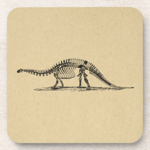 Dinosaur Skeleton Vintage Art Coaster