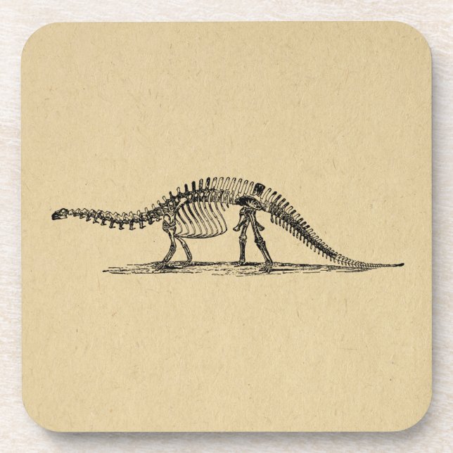 Dinosaur Skeleton Vintage Art Coaster (Front)