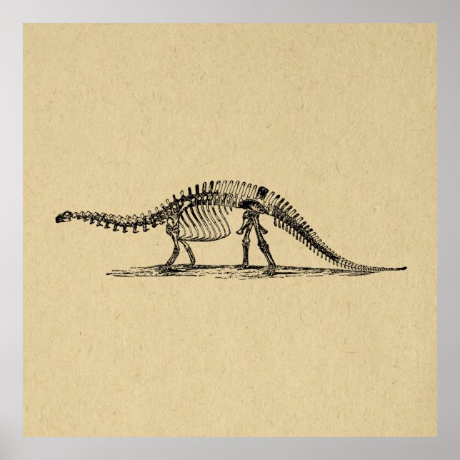 Dinosaur Skeleton Vintage Art Poster (Front)