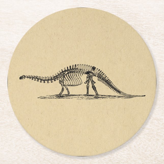Dinosaur Skeleton Vintage Art Round Paper Coaster (Front)