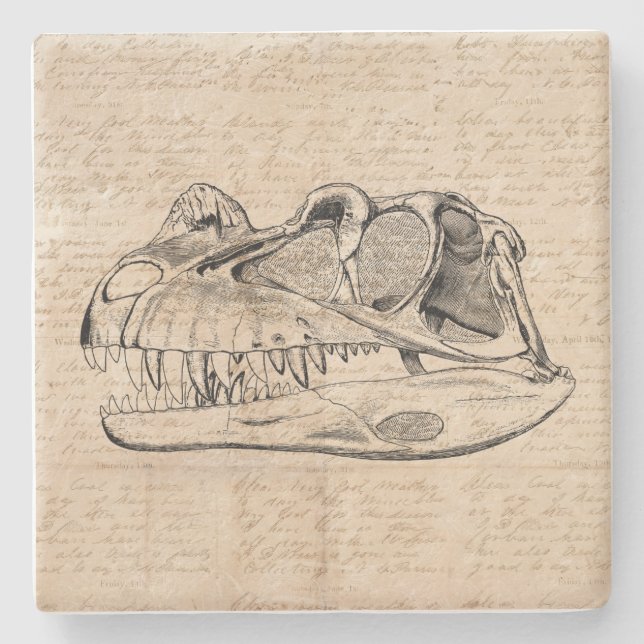 Dinosaur Skull Illustration & Antique Script Paper Stone Coaster (Front)