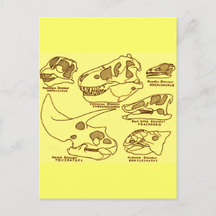 Dinosaur Skulls Postcard