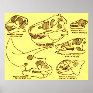 Dinosaur Skulls Poster