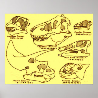 Dinosaur Skulls Poster