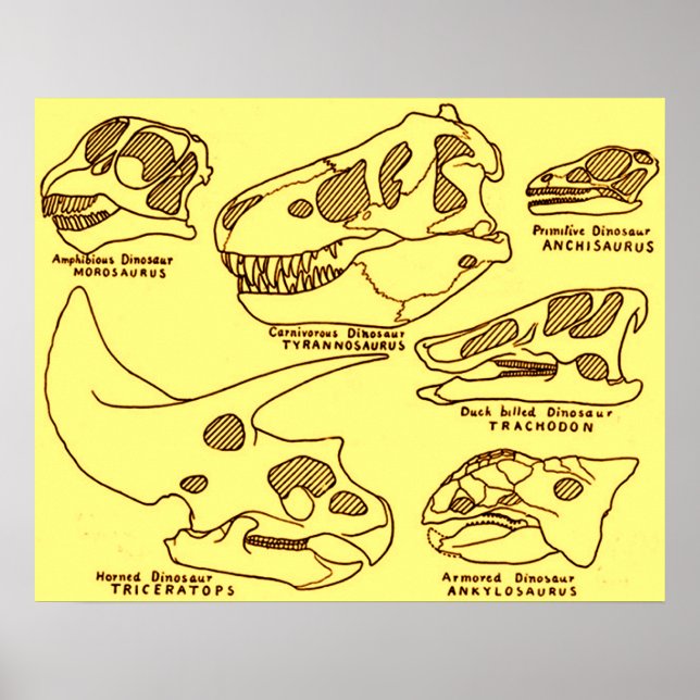 Dinosaur Skulls Poster (Front)