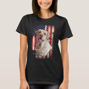 Dinosaur T-rex 4th Of July Celebrating Independenc T-Shirt