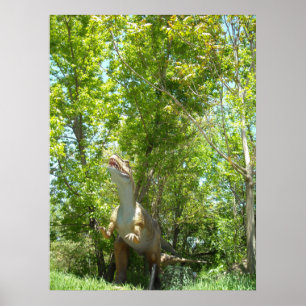Dinosaur T-Rex Poster