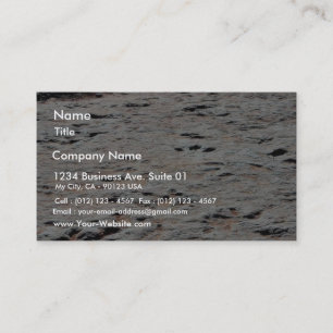 Dinosaur Tracks Business Card