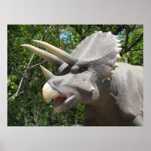 Dinosaur Triceratops Poster