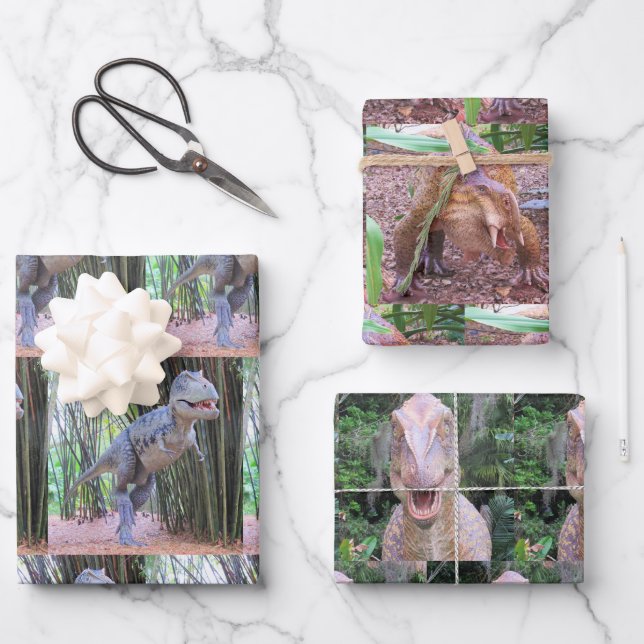 Dinosaur Wrapping Paper Sheets - 3 designs (Front)