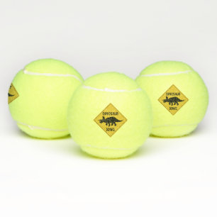 Dinosaur Xing Tennis Balls