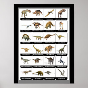 Dinosaurs Chart