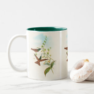 Diphogena Aurora Gould's Rainbow by John Gould Two-Tone Coffee Mug