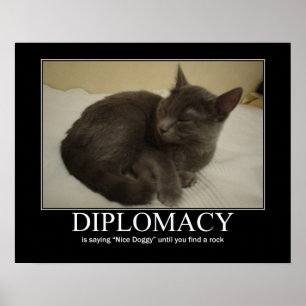 Diplomacy Cat Artwork Poster