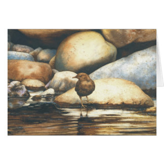 Dipper Home