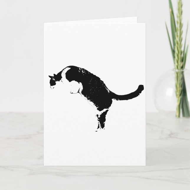 Direct Cat Greeting Card (Front)