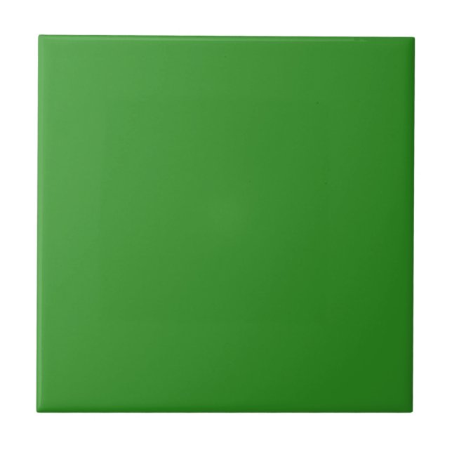 Directly Green Square Kitchen and Bathroom Ceramic Tile (Front)