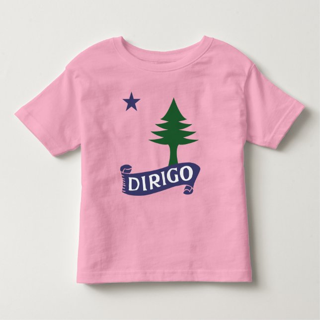 Dirigo / 1901 Maine Flag Toddler T-Shirt (Front)