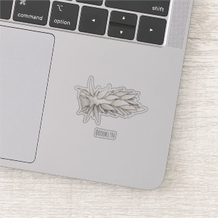 Dirona albolineata nudibranch cartoon illustration