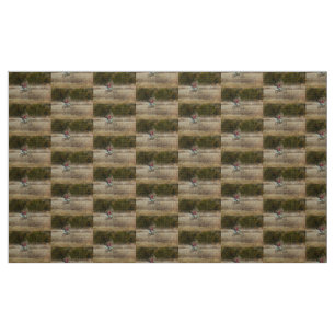 Dirt Bike Riding Fabric