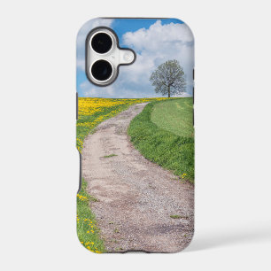 Dirt Road and Tree