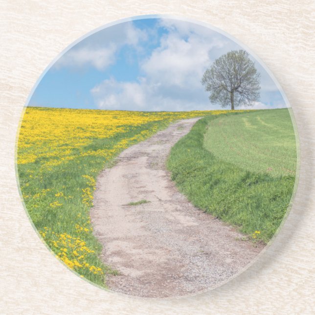 Dirt Road and Tree Coaster (Front)