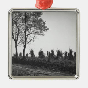 Dirt road by field B&W Metal Ornament