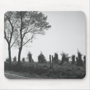 Dirt road by field B&W Mouse Pad