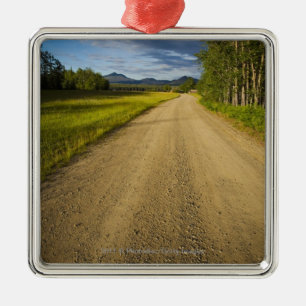 Dirt Road in Eagle, Alaska Metal Ornament