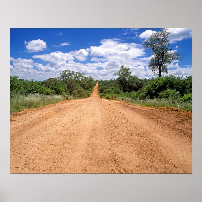 Dirt Road, Kruger National Park, Mpumalanga Poster (Front)