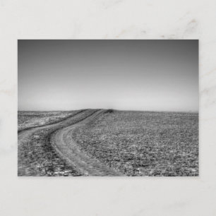 Dirt road over frosted pasture postcard
