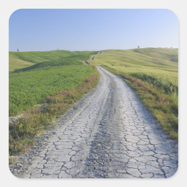Dirt Road through Fields and Hills, Val d'Orcia, Square Sticker (Front)
