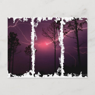 Dirty 3Tall Boxes Postcard