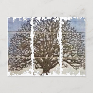Dirty 3Tall Boxes Postcard