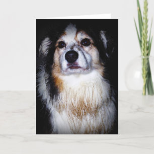 Dirty Digger Doggie Card