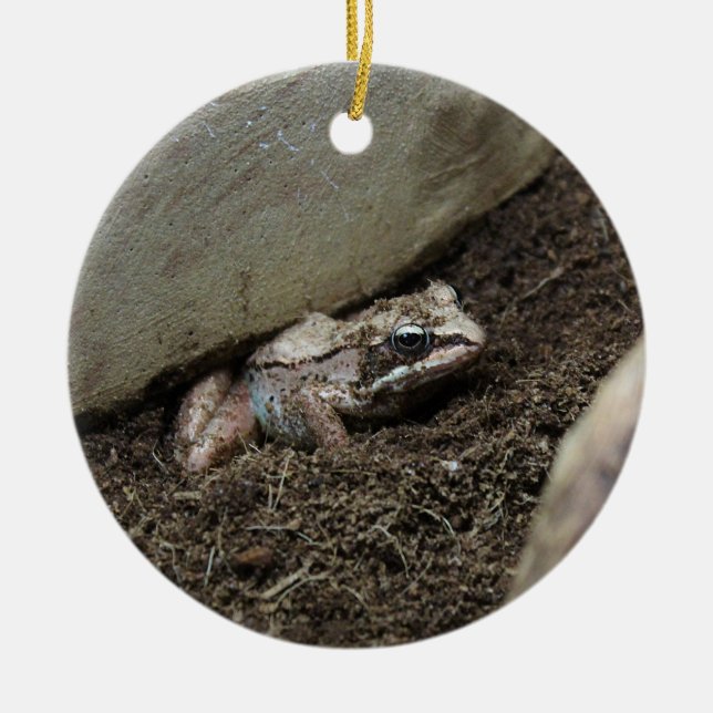 Dirty Frog Ceramic Ornament (Front)