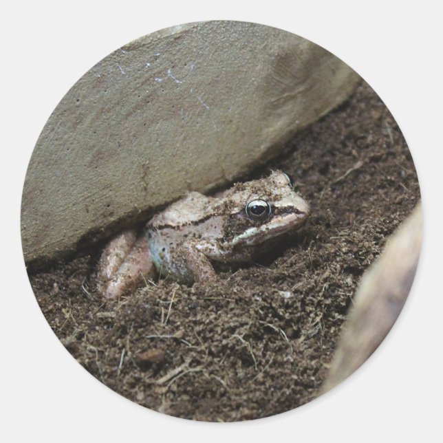 Dirty Frog Classic Round Sticker (Front)