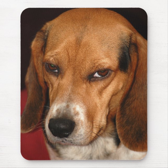 Dirty look mousepad (Front)