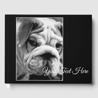 Dirty Looks Guest Book