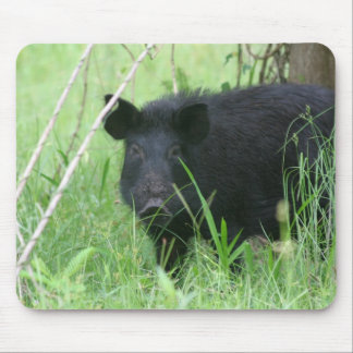 Dirty Nose Mouse Pad